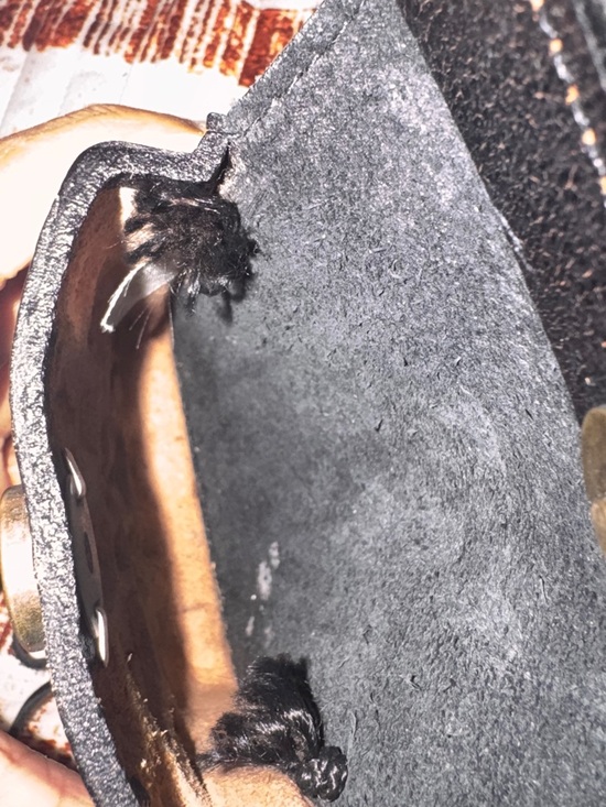 Leather Fringe Crossbody Bag - Brown & Black Artwear by Robbie  Mini Purse - Picture 6 of 7